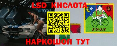Альфа ПВП Кингисепп