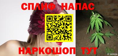 стаф Кинель