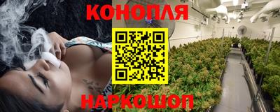 Альфа ПВП Кингисепп