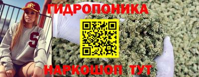 a pvp Кимры