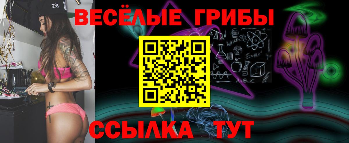 Псилоцибиновые грибы Psilocybe  Вход с VPN  Котлас  купить наркотики цена  Галлюциногенные грибы Magic Shrooms 